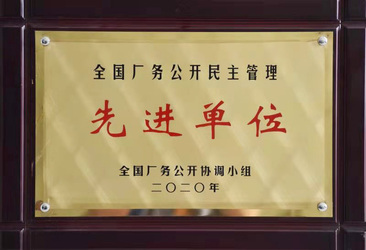 熊猫厂务公开先进奖状